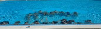 schwimmen_12.jpeg